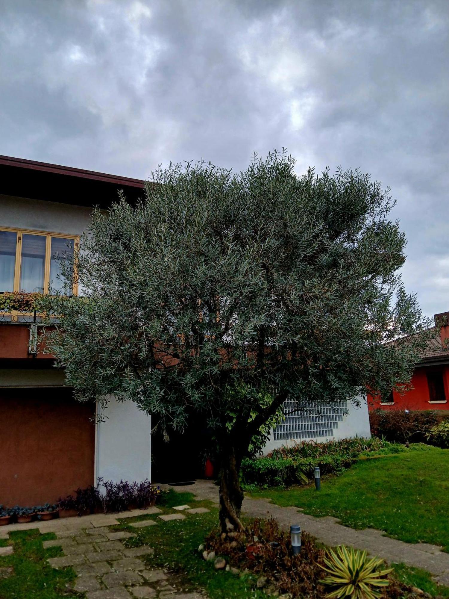 B&B Ponte Marchese Caldogno Luaran gambar